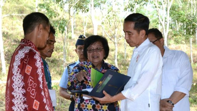 Jokowi, BRI Siap Modali Koperasi Rp 2 M untuk Hutan Sosial