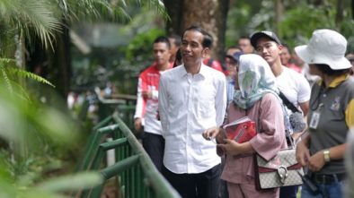 PAN Tuding Jokowi Tidak Jujur Terkait Presidential Threshold