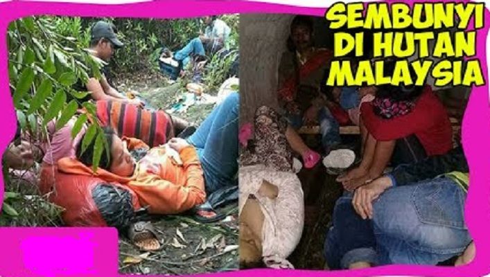 Ratusan TKI Ilegal Sembunyi di Hutan Hindari Razia Imigrasi Malaysia