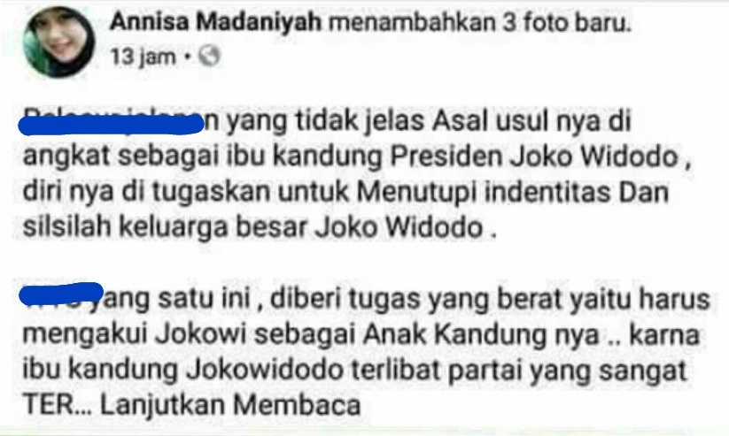 Netizen Murka Akun Fb Ini Hina Ibu Jokowi dengan Kata Tak Pantas