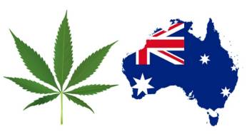 Indonesia Masih Sibuk Tangkapi, Australia Kuasai Pasar Ganja Dunia