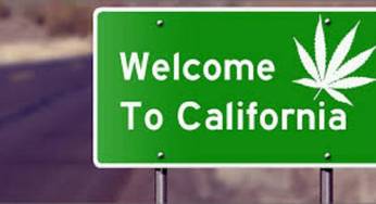 Ingin Mengkonsumsi Ganja dengan Legal, Datanglah ke California AS