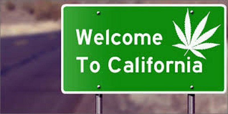 Ingin Mengkonsumsi Ganja dengan Legal, Datanglah ke California AS