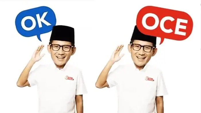 Komisi B DPRD DKI Nur Afni Sajim Kritik Pelatihan OKE OCE Hanya Cuap-Cuap