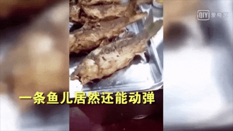 Viral Video Ikan Goreng Masih Bergerak Hebohkan Netizen di China