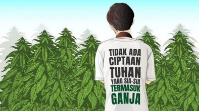Membongkar Mitos, LGN Ingin Ganja Dilegalkan di Indonesia