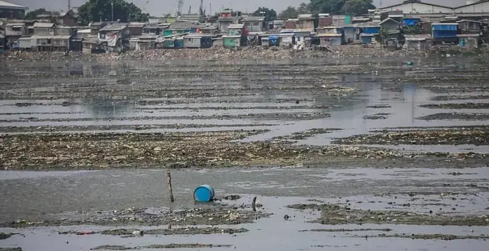 Menteri Susi Unggah Foto Kondisi Waduk Pluit yang Memprihatinkan, Ini Reaksi Kocak Warganet
