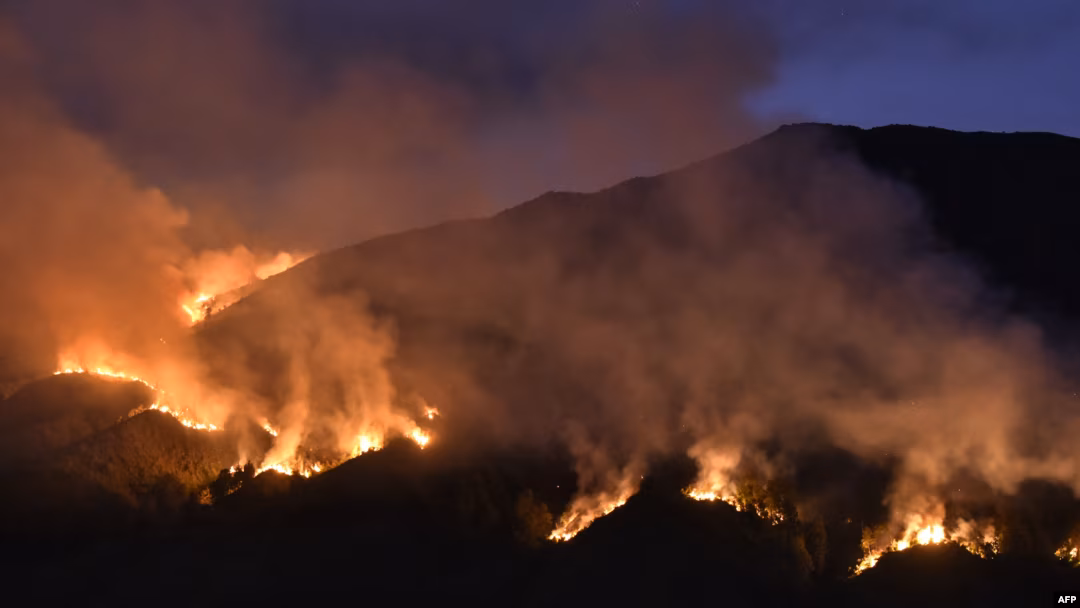 Kebakaran Gunung Bromo Berujung Tragis, Tiga Orang Tewas